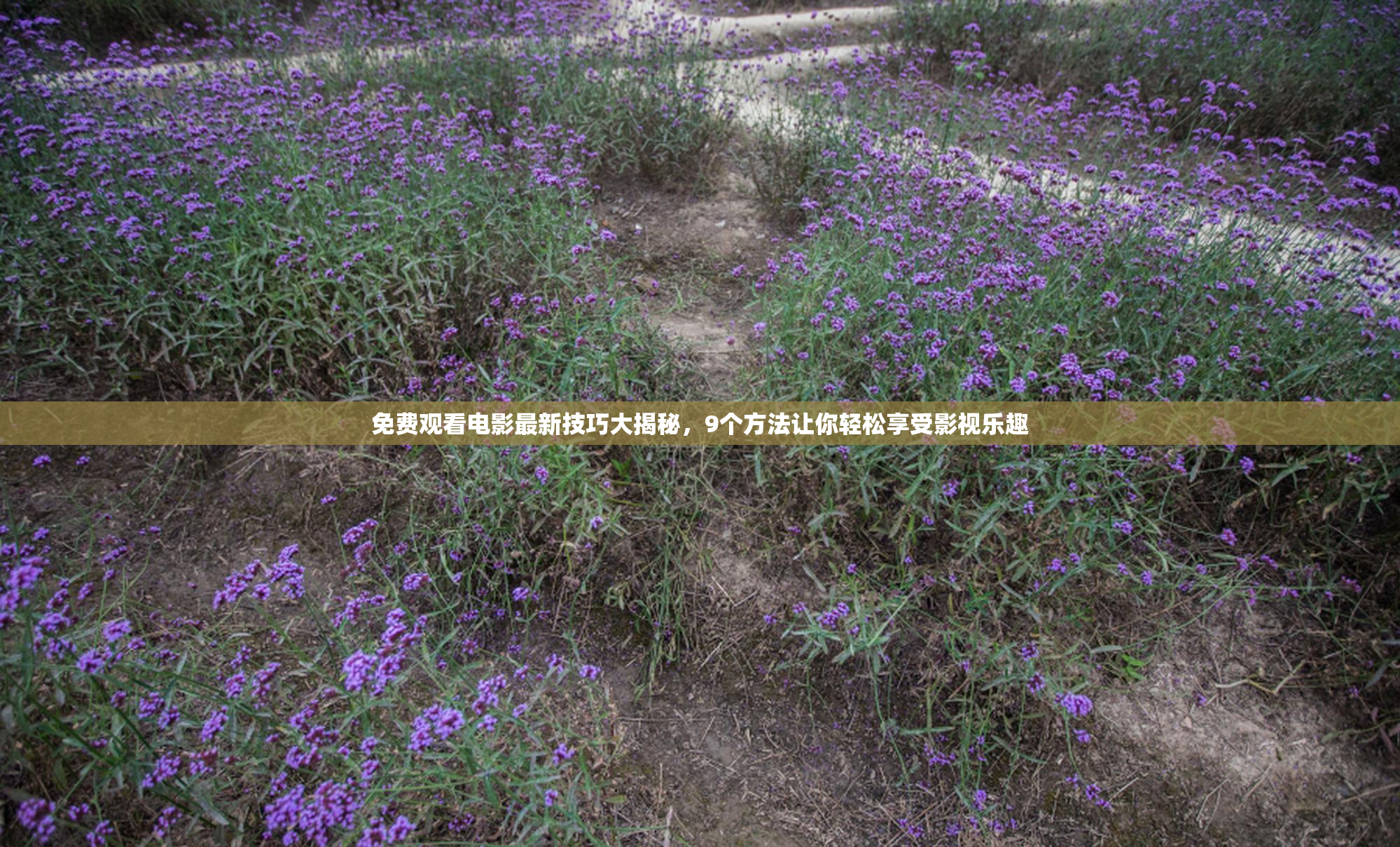 免费观看电影最新技巧大揭秘，9个方法让你轻松享受影视乐趣