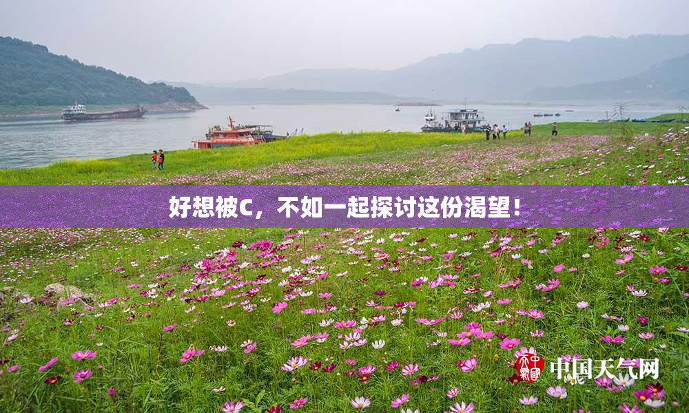 好想被C，不如一起探讨这份渴望！