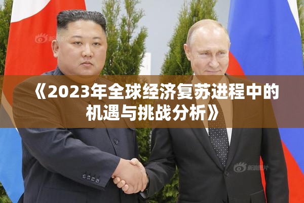 《2023年全球经济复苏进程中的机遇与挑战分析》