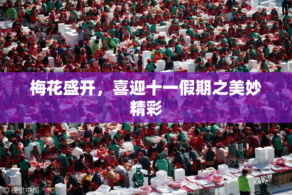 梅花盛开，喜迎十一假期之美妙精彩