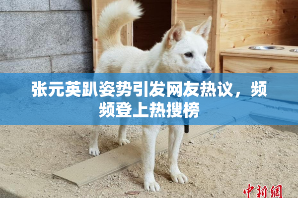 张元英趴姿势引发网友热议，频频登上热搜榜