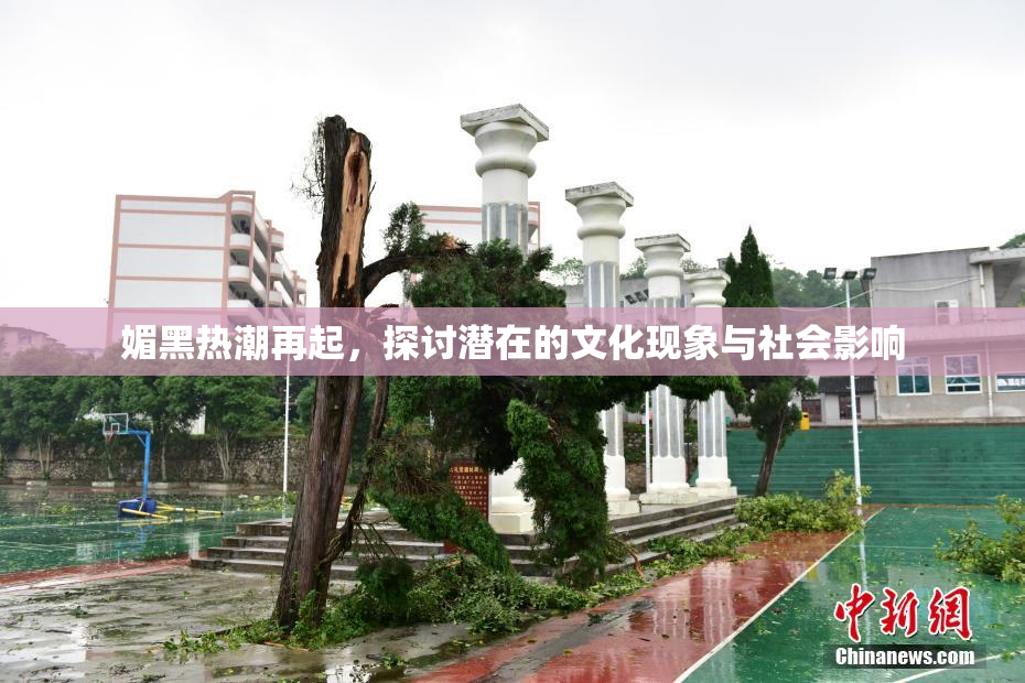 媚黑热潮再起，探讨潜在的文化现象与社会影响