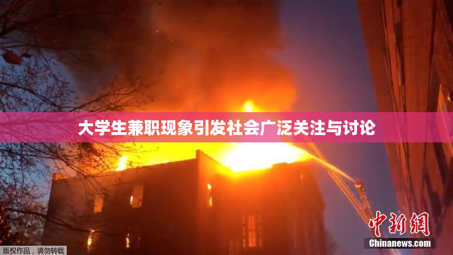 大学生兼职现象引发社会广泛关注与讨论
