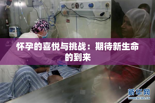 怀孕的喜悦与挑战：期待新生命的到来