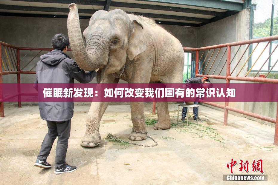 催眠新发现：如何改变我们固有的常识认知