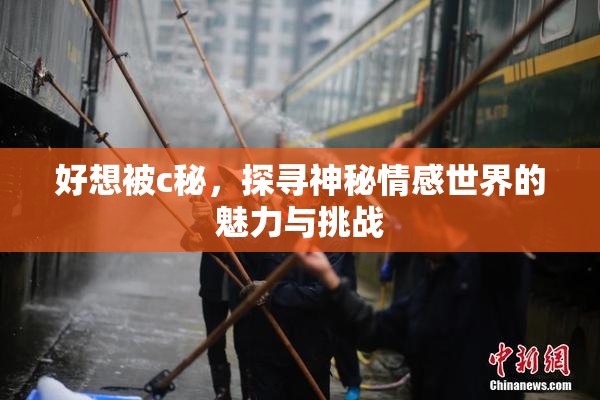 好想被c秘，探寻神秘情感世界的魅力与挑战
