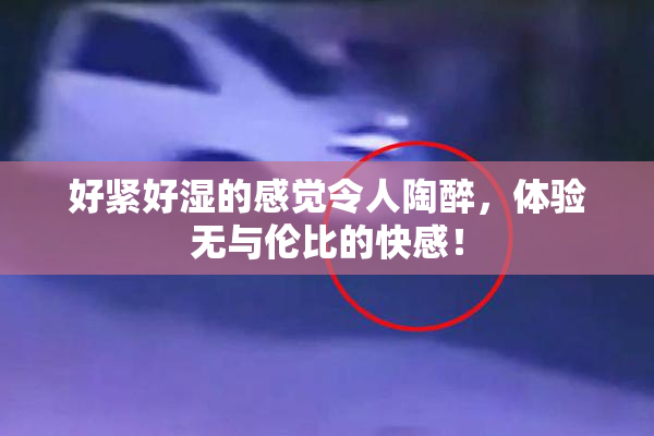 好紧好湿的感觉令人陶醉，体验无与伦比的快感！