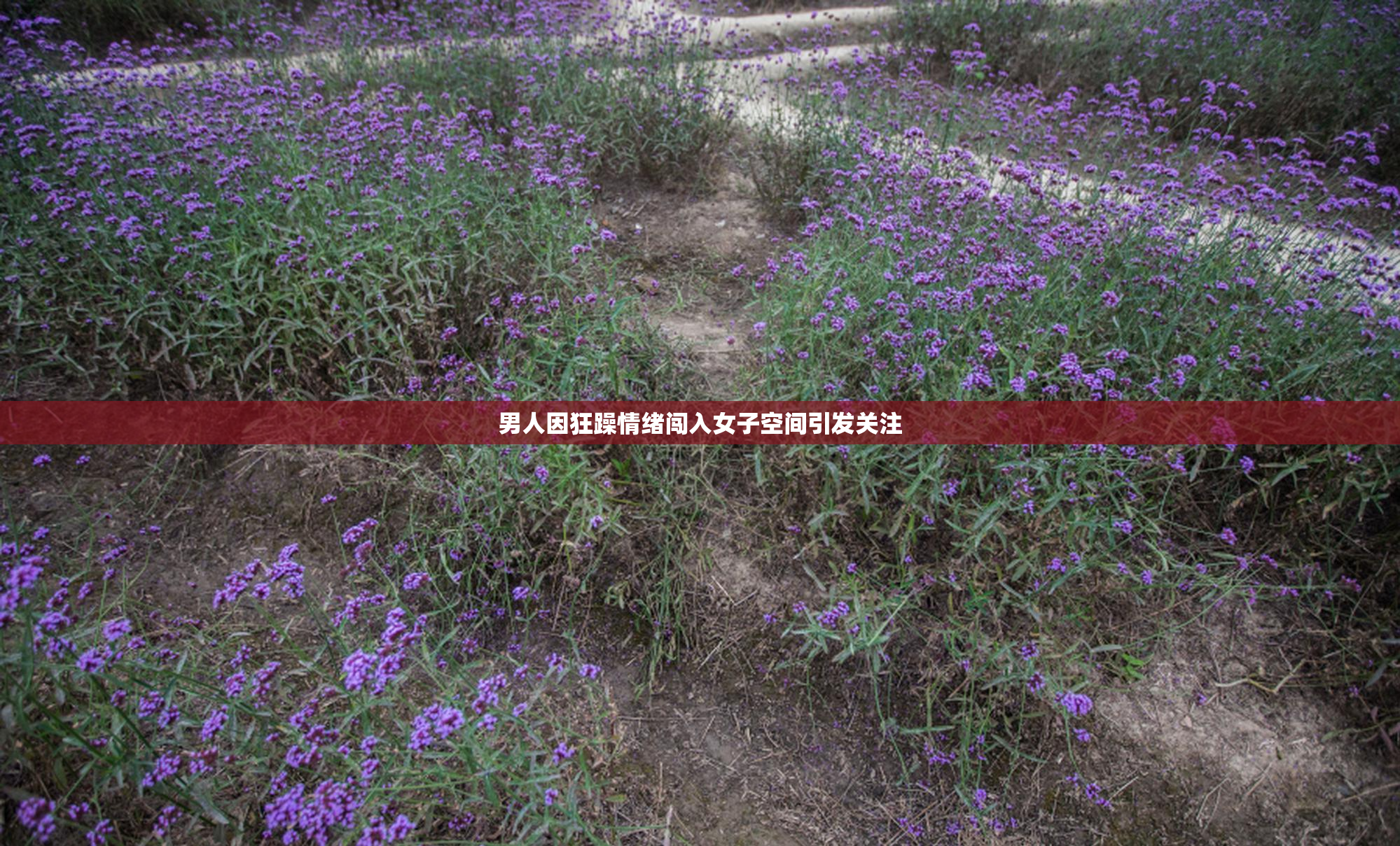 男人因狂躁情绪闯入女子空间引发关注