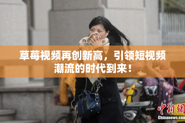 草莓视频再创新高，引领短视频潮流的时代到来！