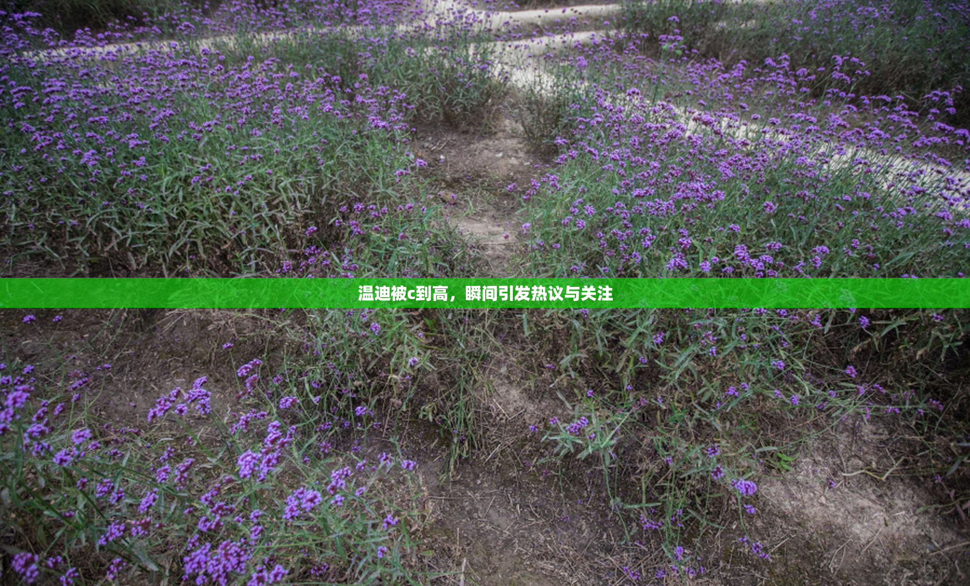 温迪被c到高，瞬间引发热议与关注