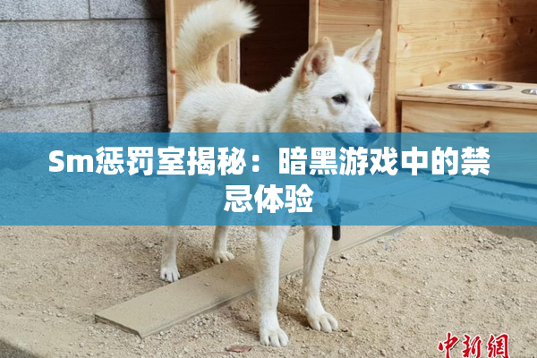 Sm惩罚室揭秘：暗黑游戏中的禁忌体验