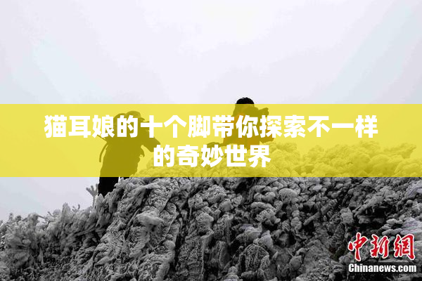 猫耳娘的十个脚带你探索不一样的奇妙世界