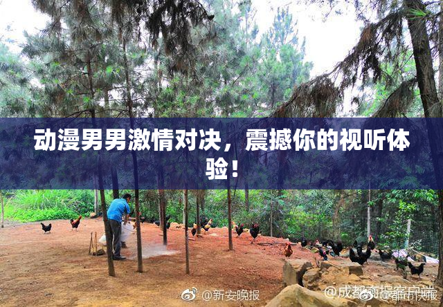 动漫男男激情对决，震撼你的视听体验！