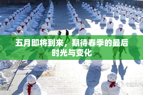 五月即将到来，期待春季的最后时光与变化