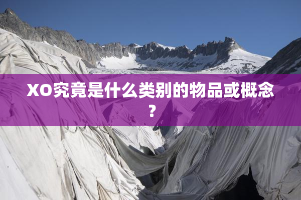 XO究竟是什么类别的物品或概念？