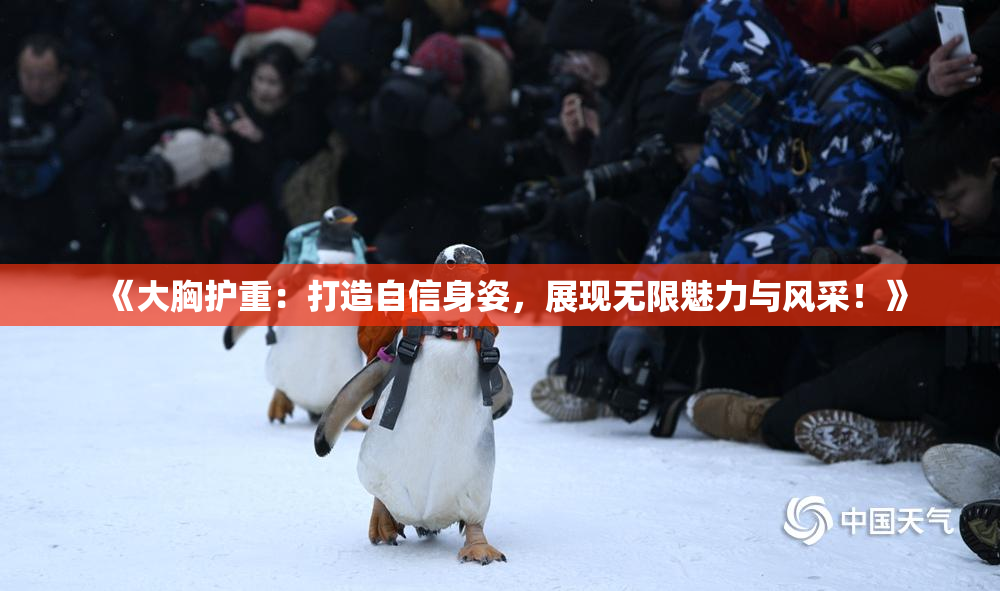 《大胸护重：打造自信身姿，展现无限魅力与风采！》