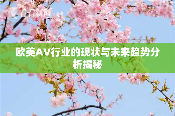 欧美AV行业的现状与未来趋势分析揭秘