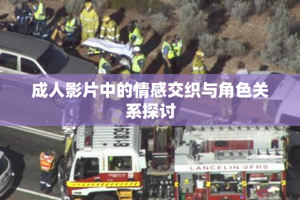 成人影片中的情感交织与角色关系探讨