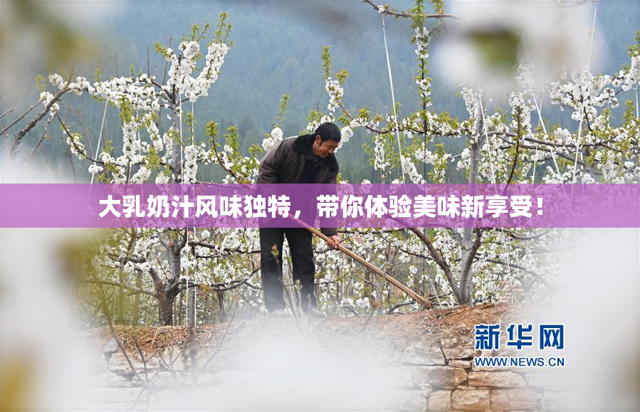 大乳奶汁风味独特，带你体验美味新享受！