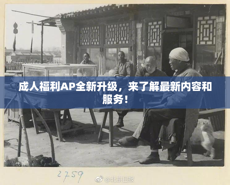 成人福利AP全新升级，来了解最新内容和服务！
