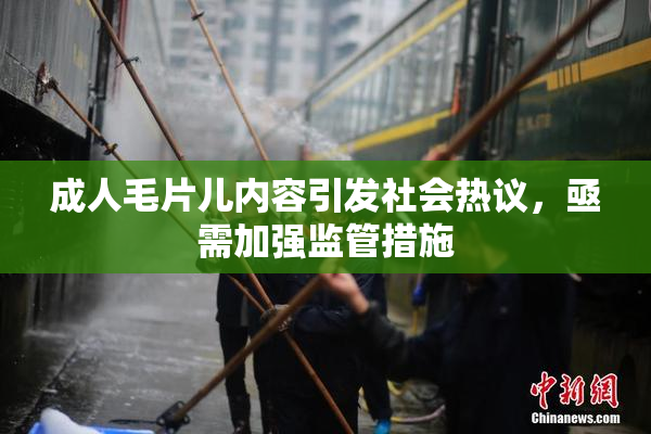 成人毛片儿内容引发社会热议，亟需加强监管措施