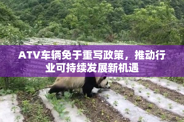 ATV车辆免于重写政策，推动行业可持续发展新机遇