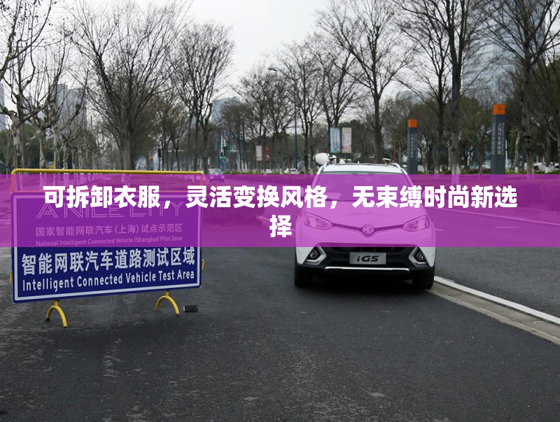 可拆卸衣服，灵活变换风格，无束缚时尚新选择