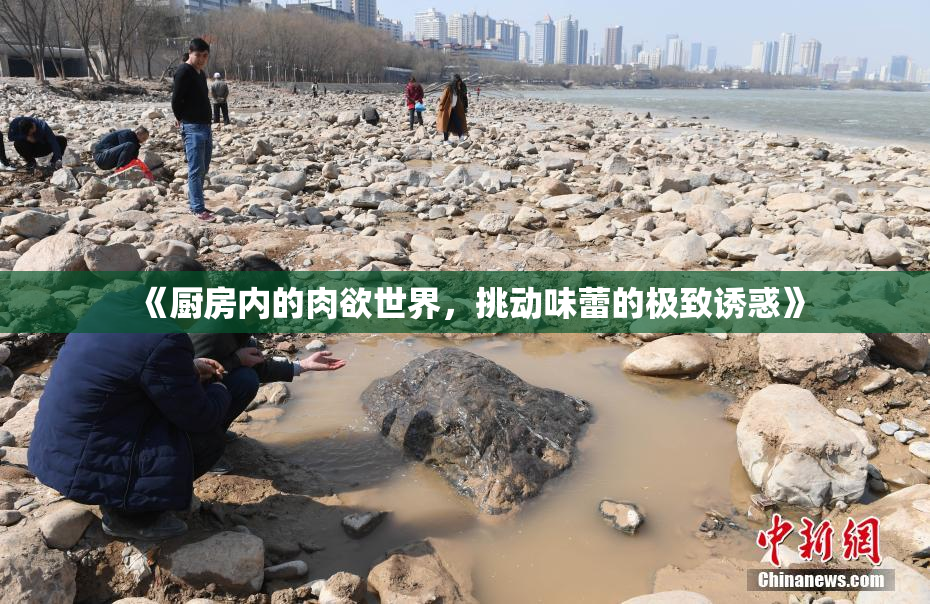 《厨房内的肉欲世界，挑动味蕾的极致诱惑》