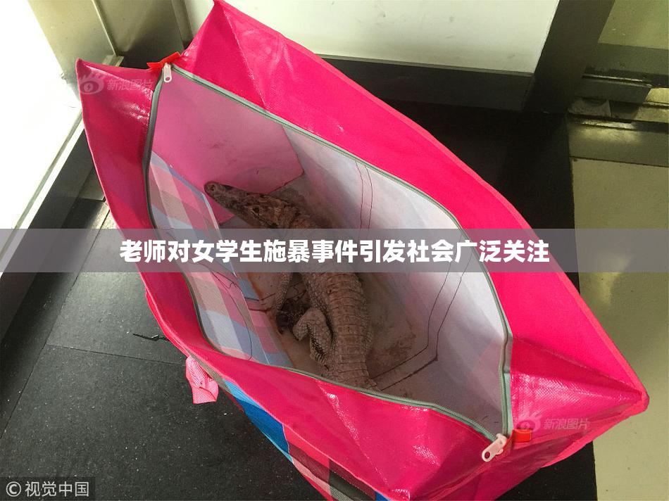 老师对女学生施暴事件引发社会广泛关注