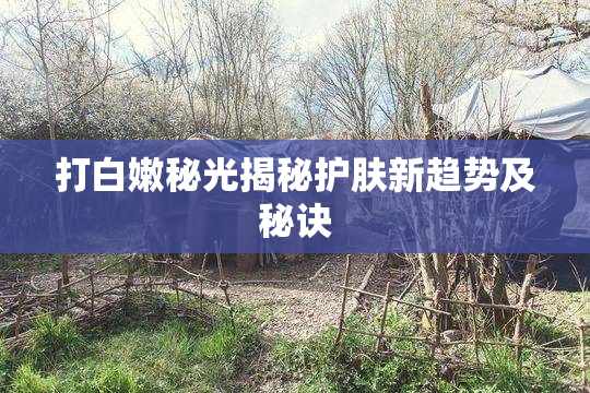 打白嫩秘光揭秘护肤新趋势及秘诀