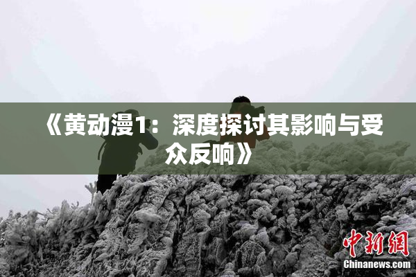 《黄动漫1：深度探讨其影响与受众反响》