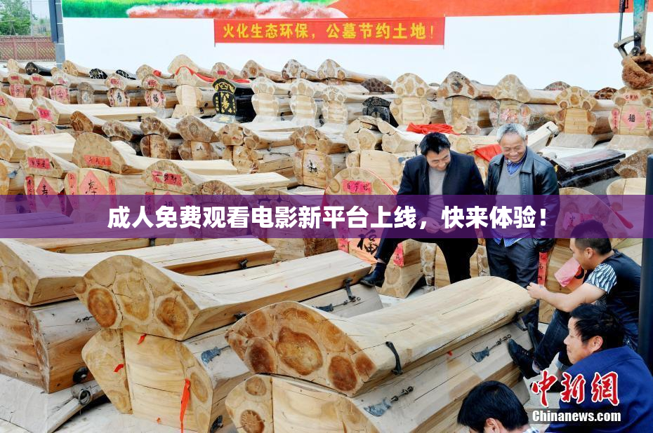 成人免费观看电影新平台上线，快来体验！