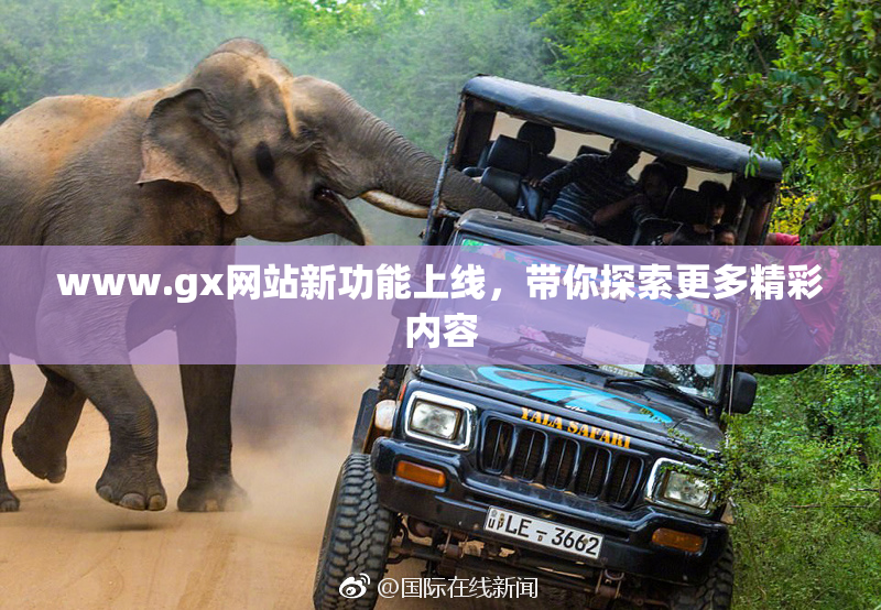 www.gx网站新功能上线，带你探索更多精彩内容