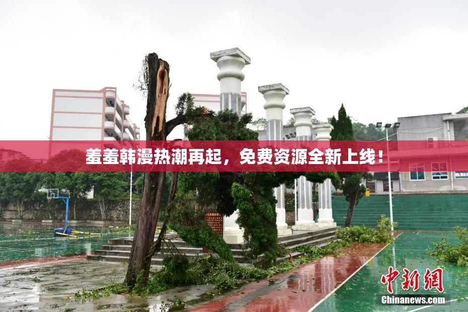 羞羞韩漫热潮再起，免费资源全新上线！