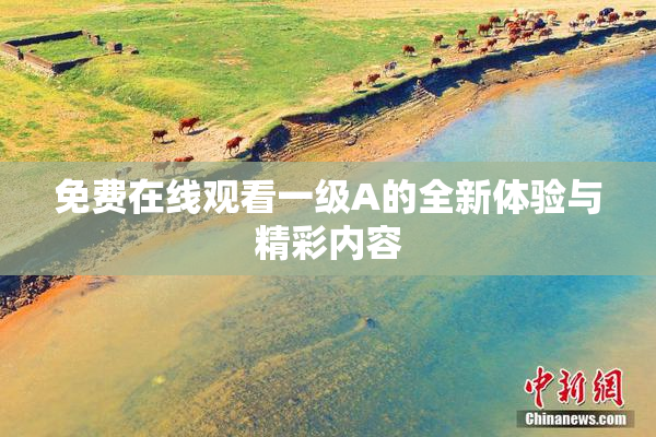 免费在线观看一级A的全新体验与精彩内容