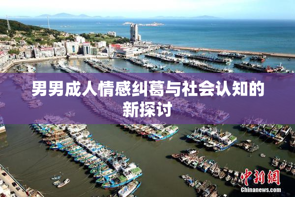 男男成人情感纠葛与社会认知的新探讨