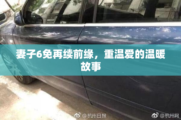 妻子6免再续前缘，重温爱的温暖故事