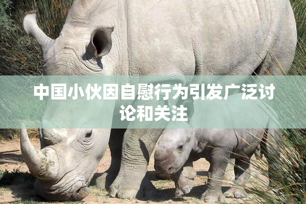 中国小伙因自慰行为引发广泛讨论和关注