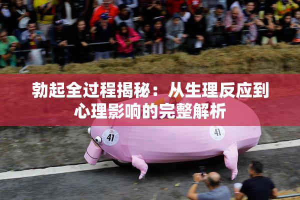 勃起全过程揭秘：从生理反应到心理影响的完整解析