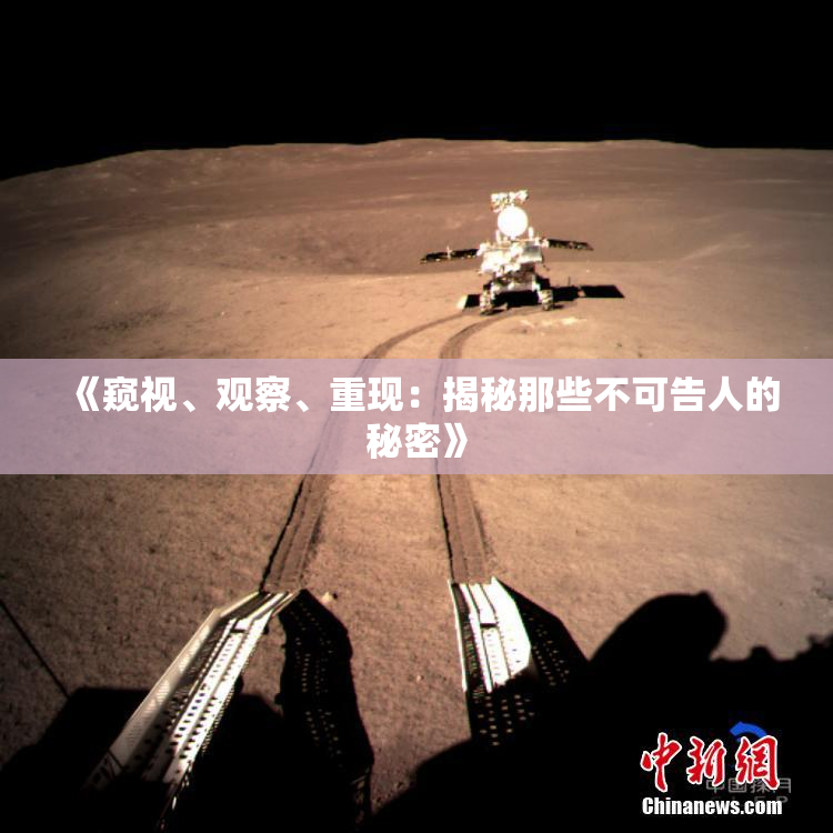 《窥视、观察、重现：揭秘那些不可告人的秘密》