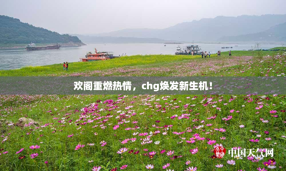 欢阁重燃热情，chg焕发新生机！