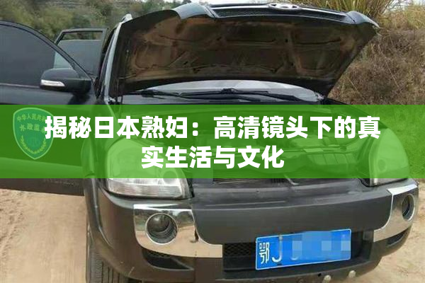 揭秘日本熟妇:高清镜头下的真实生活与文化