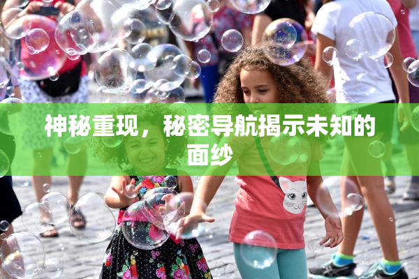 神秘重现，秘密导航揭示未知的面纱