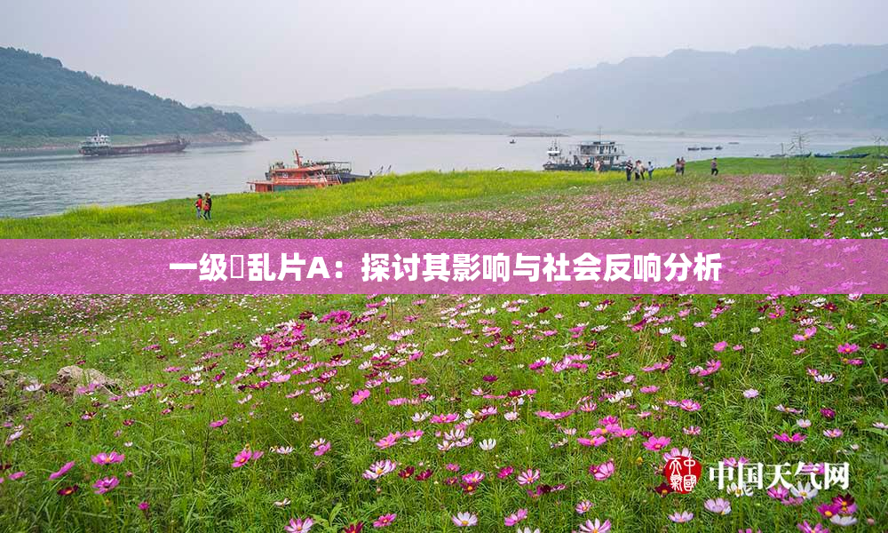 一级婬乱片A:探讨其影响与社会反响分析