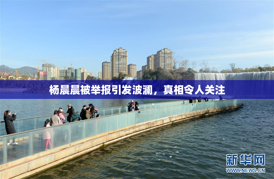 杨晨晨被举报引发波澜,真相令人关注