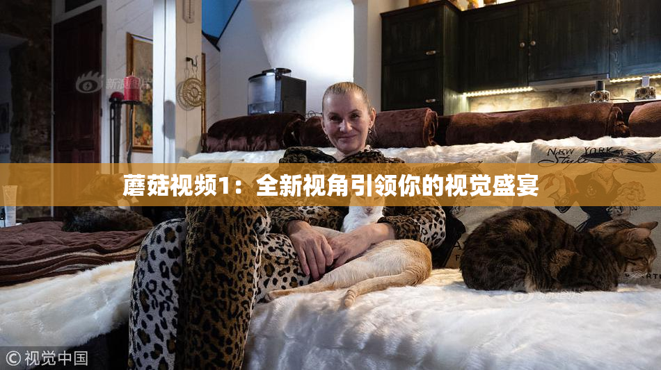 蘑菇视频1:全新视角引领你的视觉盛宴