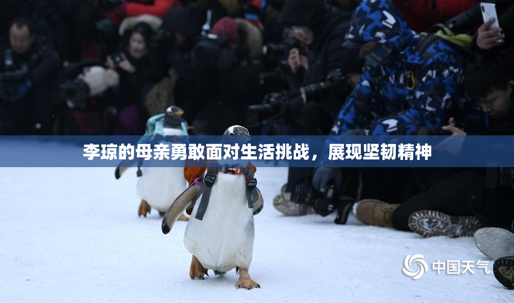 李琼的母亲勇敢面对生活挑战,展现坚韧精神