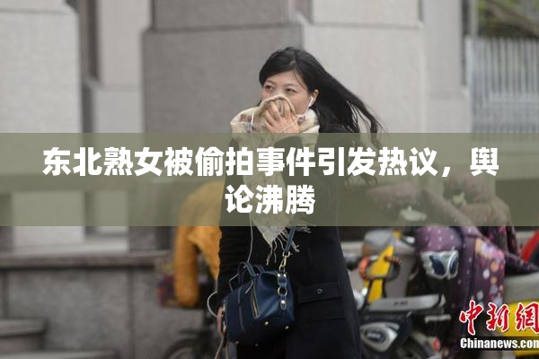 东北熟女被偷拍事件引发热议,舆论沸腾