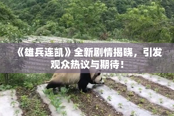 《雄兵连凯》全新剧情揭晓,引发观众热议与期待!