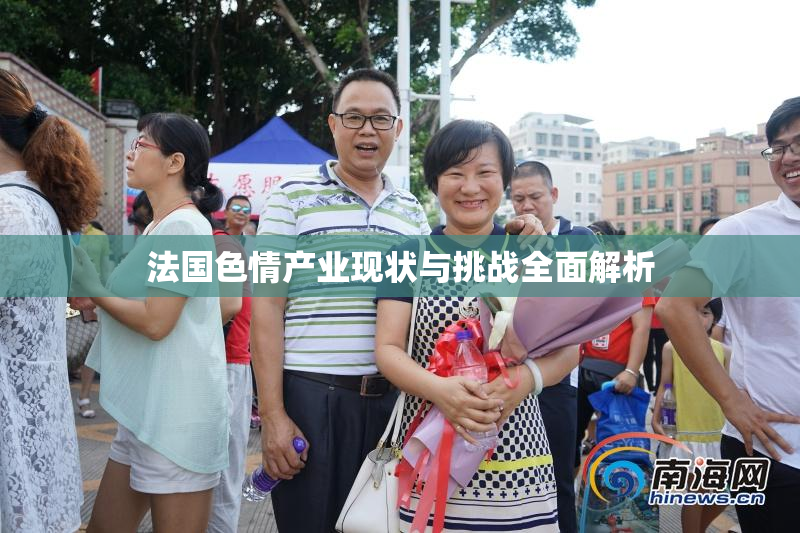 法国色情产业现状与挑战全面解析